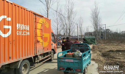 特別報道 河北全力答好疫情防控和脫貧攻堅兩張答卷，配送服務(wù)成關(guān)鍵支撐