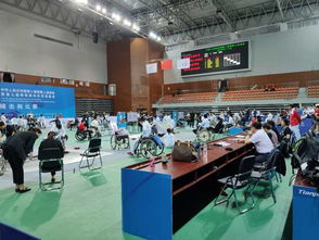 信息技術團隊保障賽會注冊與競賽信息服務