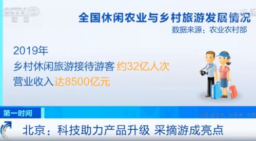 科技助力產品升級，信息技術咨詢服務驅動采摘游成新亮點